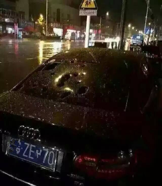 冰爆來襲，豪車遭殃，沒有停車棚怎么行？？？豪異遮陽,4000-121-696